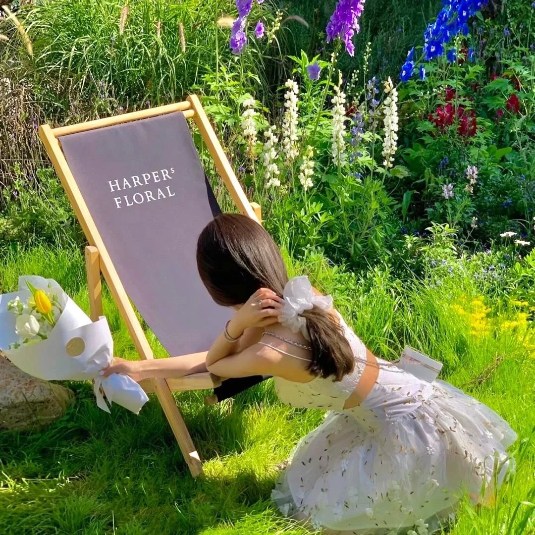 芝加哥烈焰第十季